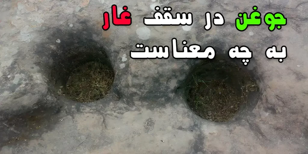 جوغن در سقف غار