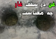 جوغن در سقف غار