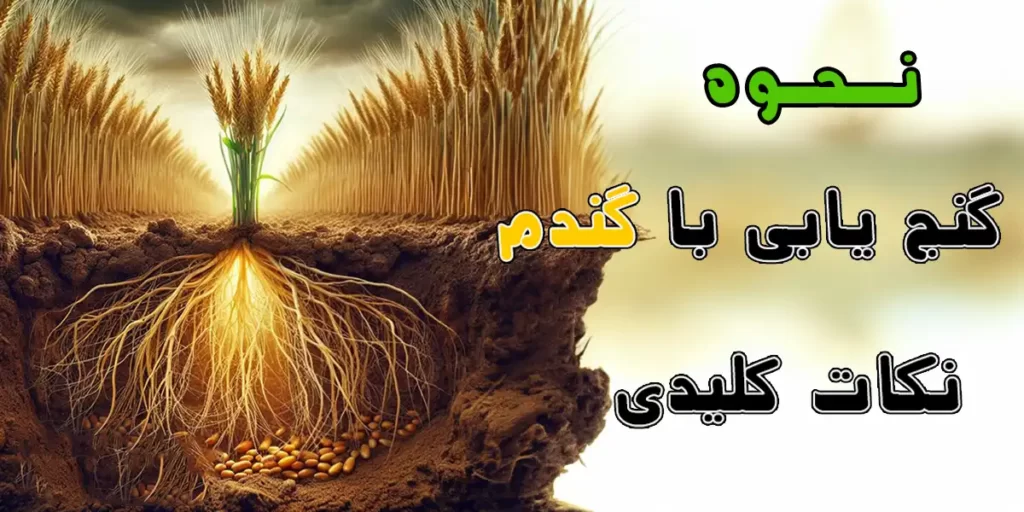 گنج یابی با گندم