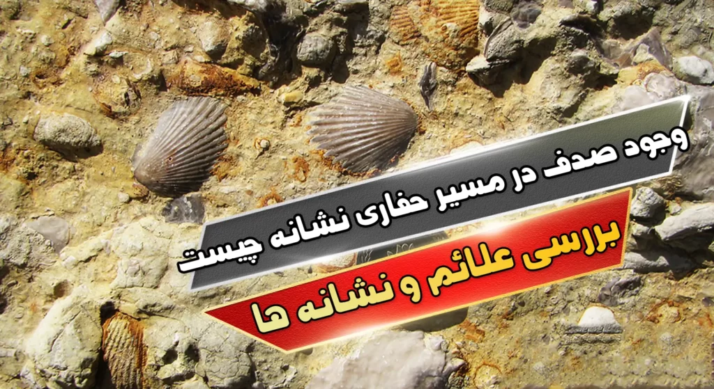وجود صدف در مسیر حفاری نشانه چیست