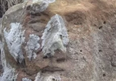 نماد رخ انسان در دفینه چیست