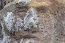 نماد رخ انسان در دفینه چیست