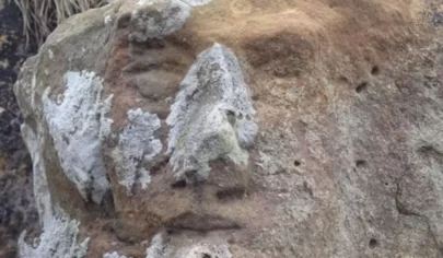نماد رخ انسان در دفینه چیست